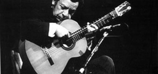 il chitarrista flamenco agustin castellon